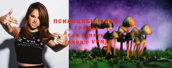 прущая мука Переславль-Залесский