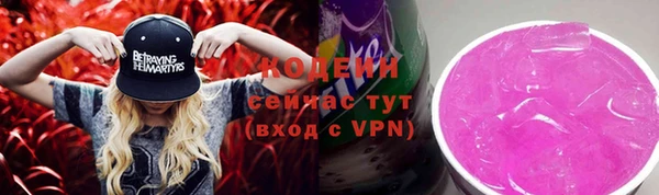 шишки Пересвет