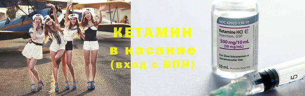 шишки Пересвет