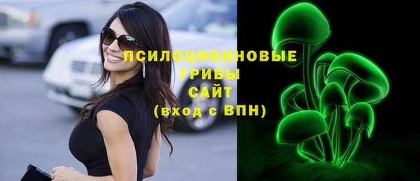 шишки Пересвет