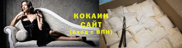 шишки Пересвет