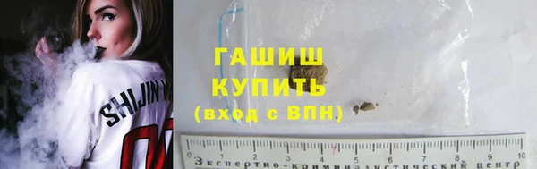шишки Пересвет