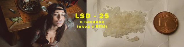 шишки Пересвет