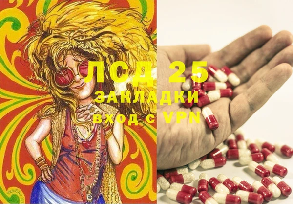 шишки Пересвет