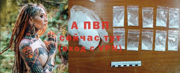 шишки Пересвет