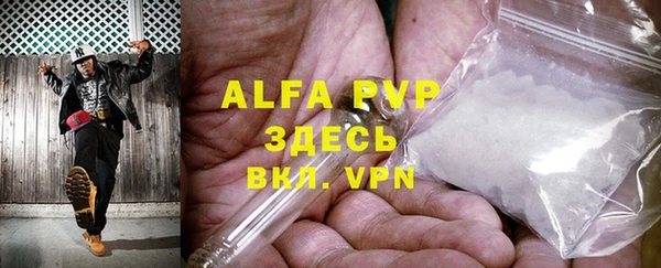 шишки Пересвет