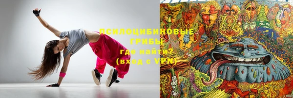шишки Пересвет