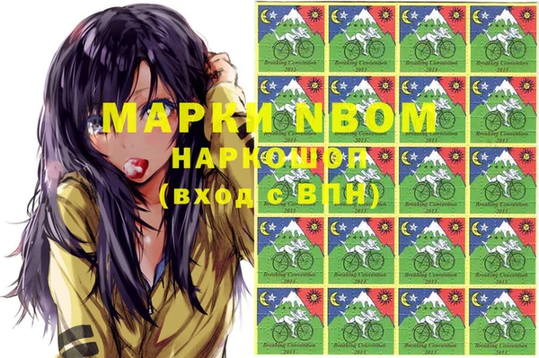 шишки Пересвет
